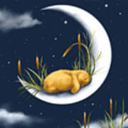 Sleeping On The Moon Art Print