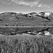 Slough Creek Reflection Panorama Black And White Art Print