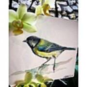 Small Bird Tales #waterblog #watercolor Art Print