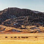 Snake Butte Art Print