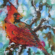 Snow Cardinal Art Print