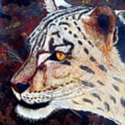 Snow Leopard Art Print