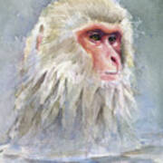 Snow Monkey Taking A Bath Art Print