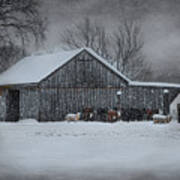 Snowflakes On The Farm Art Print