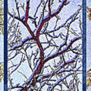 Snowy Branches Trio - Triptych Art Print