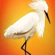 Snowy Egret At Sunset Art Print