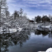 Snowy Ellicott Creek Art Print