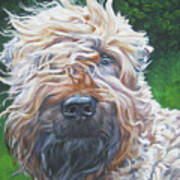 Soft Coated Wheaten Terrier Art Print