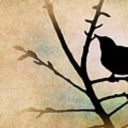 Song Bird Art Print