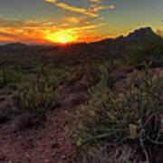 Sonoran Desert Sunset Art Print