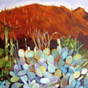 Sonoran Sunset Art Print