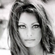 Sophia Loren Art Print