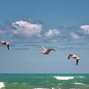 South Padre Island Pelicans Art Print