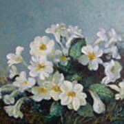 Spring Blooms Art Print