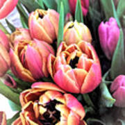 Spring Bouquet Art Print