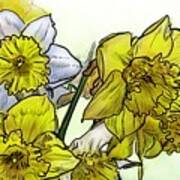 Spring Daffodils Art Print