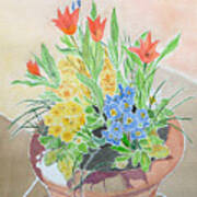 Spring Flowers In Pot Art Print
