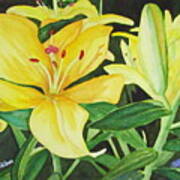 Spring Gold - Lilies Watercolor Art Print