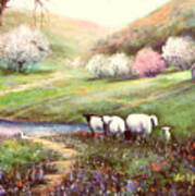 Spring Lambs Art Print