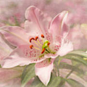 Spring Pink Art Print