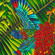 Amazona Versicolor - Exotic Bird Art Print