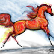 Staceys Arabian Horse Art Print