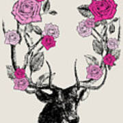 Stag And Roses Art Print
