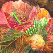 Staghorn In Bloom Art Print