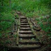 Stairway At Unicoi Gap On The At Art Print