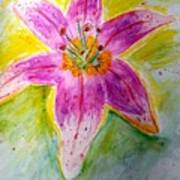 Stargazer Lily In The Garden Art Print