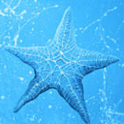 Starfish In Blue Art Print