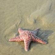 Starfish With Sand Designs Art Print