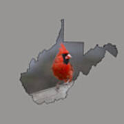 State Bird Of West Virginia Art Print