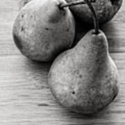 Still Life Of Three Pears Art Print