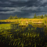 Storm Light At Patten Lake #1 Art Print