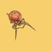 Strawberry Spider Art Print