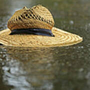 Sun Hat In The Rain Art Print