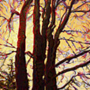 Sun-shielding Gallantrees Art Print