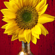 Sunflower Close Up Art Print