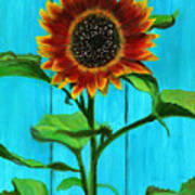 Sunflower On Blue Art Print