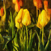 Sunny Tulips Art Print