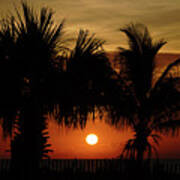 Sunrise Palm Window Delray Beach Florida Art Print