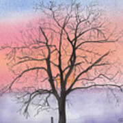 Sunrise Walnut Tree 2 Watercolor Painting Art Print