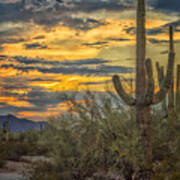 Sunset Approaches - Arizona Sonoran Desert Art Print