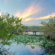 Sunset At The Everglades National Park Art Print