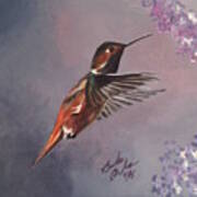 Susie The Hummingbird Art Print