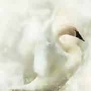 Swan Bymoonlight Art Print