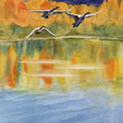 Swan Lake Revisited Art Print