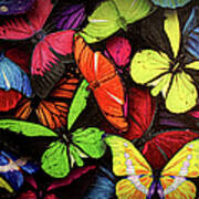 Swarm Of Butterfles Art Print
