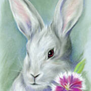 Sweet William Bunny Rabbit Art Print